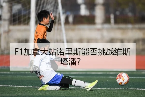 img_1781537215174_211_1_947.jpg