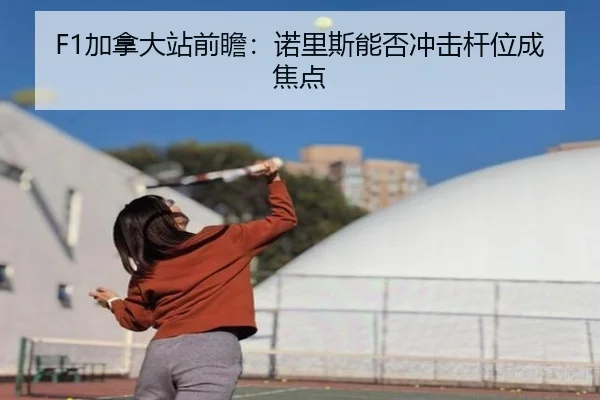 F1加拿大站前瞻：诺里斯能否冲击杆位成焦点
